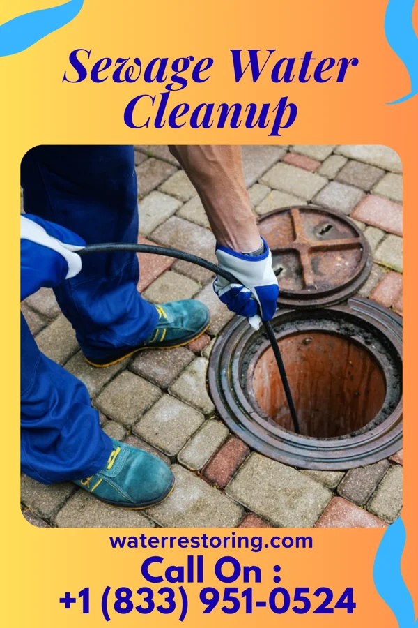 Sewage Water Cleanup in Melvin, IL