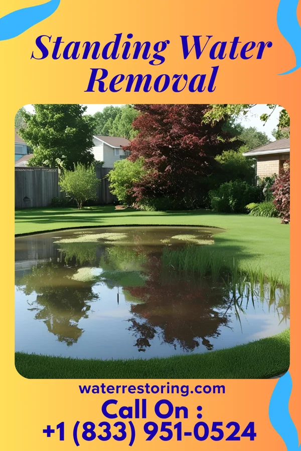 Standing Water Removal in Melvin, IL